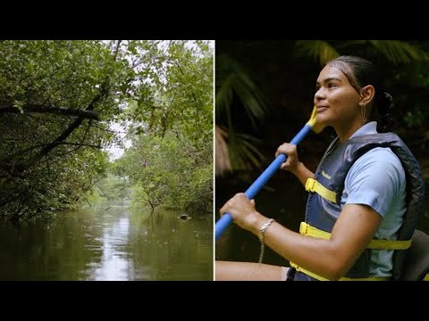 “Esto es un cantito que hizo Dios”: aventura inigualable en la Reserva Natural de Humacao