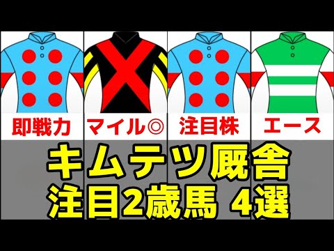 【POG2026-27】木村哲也厩舍の注目2歳馬TOP4【フィリオソラーレ/スプレマレイナ】