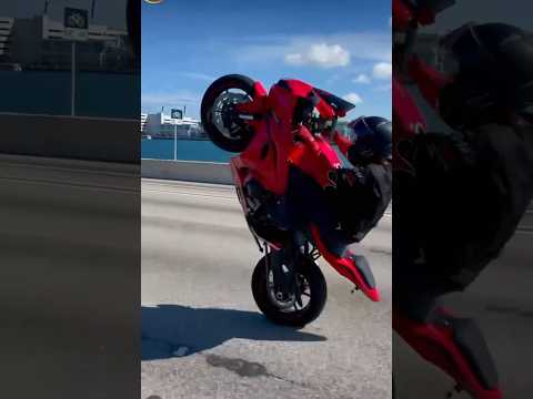 Miami's Wildest Sportbike - GSXR 1000R