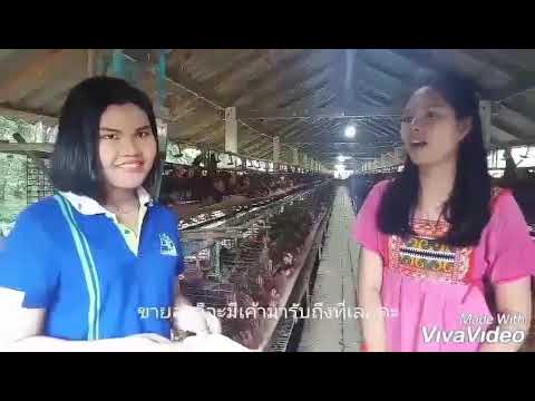 โครงการจัดทำบัญชีเกษตรกรภาคเร