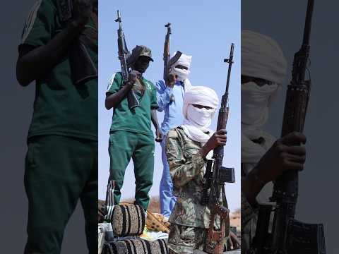 Dozens of armed defectors from the RSF surrender to the Sudanese army