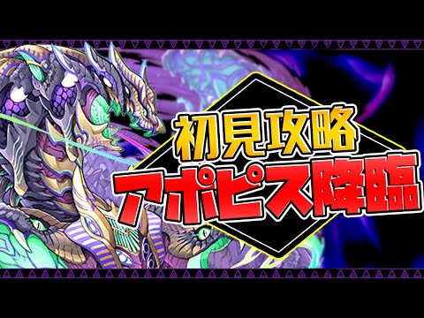 アポピス降臨 環境最強ノーチラスPTで初見攻略！新ギミックがヤバすぎる！【パズドラ】
