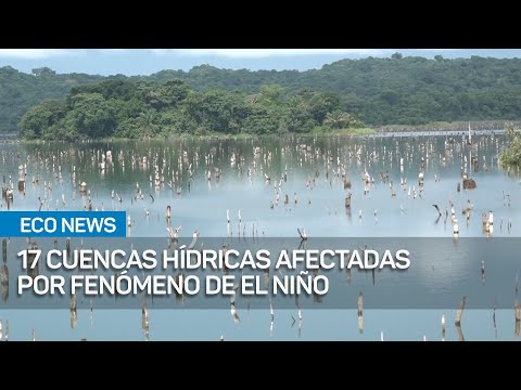 Fenómeno de El Niño y su efecto sobres las cuencas del país | #EcoNews