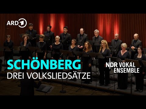 Schönberg - Drei Volksliedsätze | Klaas Stok | NDR Vokalensemble