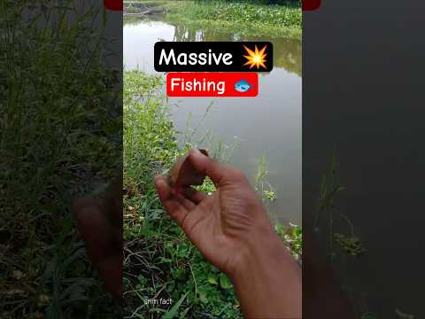 can you see ya boro telpia fish 🫨 #shorts #guess