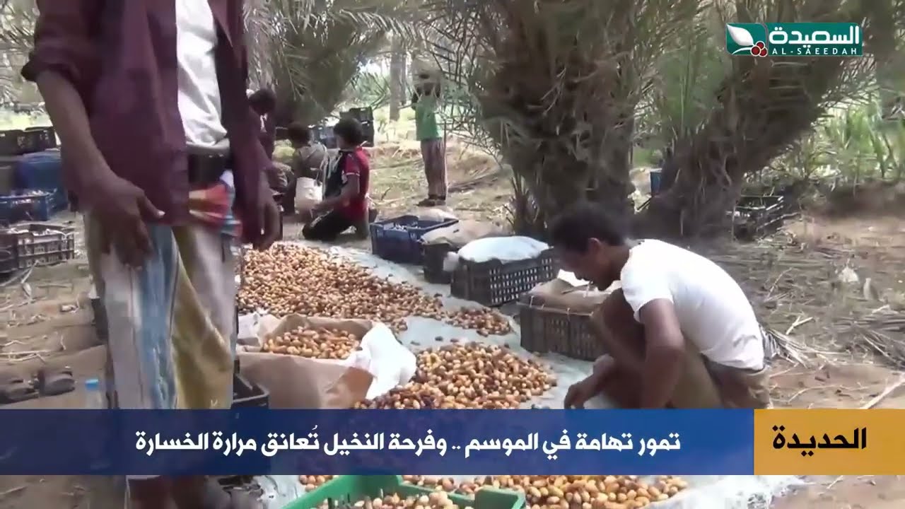 قناة السعيدة