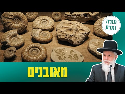 תורה ומדע עם הרב זמיר כהן - מאובנים