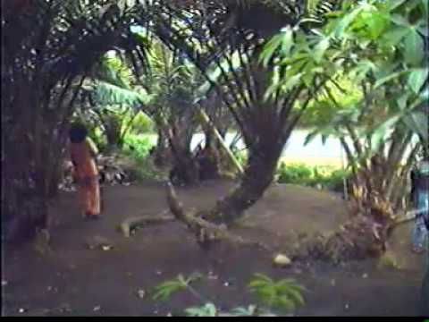 MARSAK
