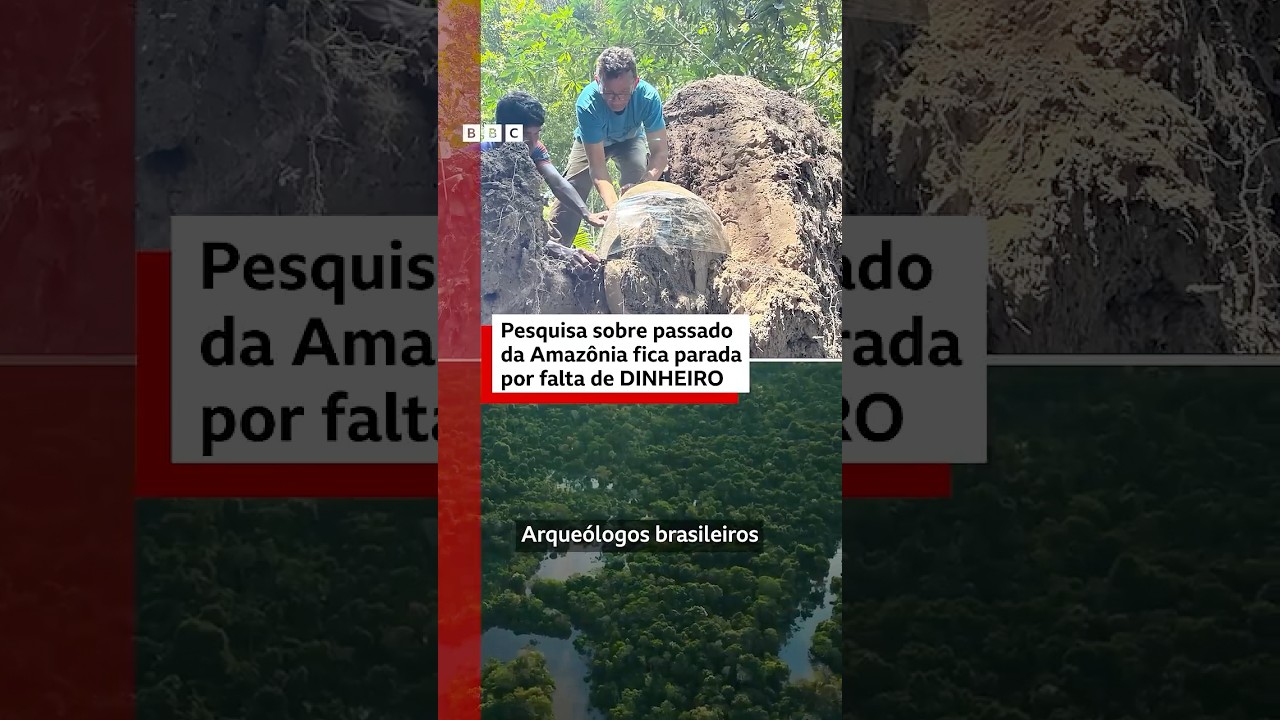 Do que os cientistas precisam para seguir pesquisa na Amazônia? 🔎🌳