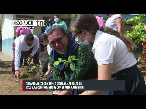 Nicaragua reforesta escuela pública en Valle Sandino