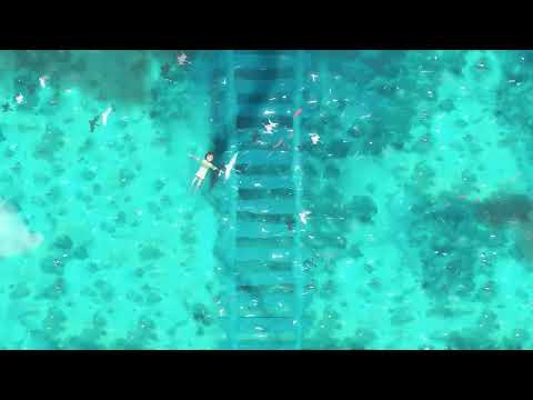 quiet mornings by the sea breeze 🌊☕