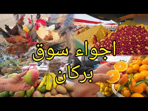 🔥 سوق بركان 2026 | جولة كاملة في السوق الشعبي🍊