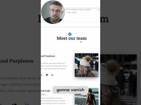 Add Team Section to Homepage in Hestia #WordPress Theme