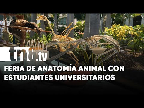 Feria de anatomía animal: Curiosa formación veterinaria para universitarios