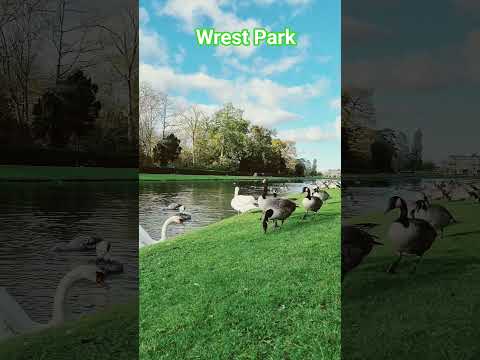 Relaxing #park #wrestling #pov