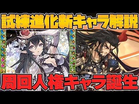 【周回人権】ペルセポネ試練進化&超転生イザナギ実装！アクセラレータが更に強くなるぞ！【パズドラ】