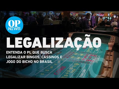 Entenda o PL que busca legalizar bingos, cassinos e jogo do bicho no Brasil | O POVO NEWS