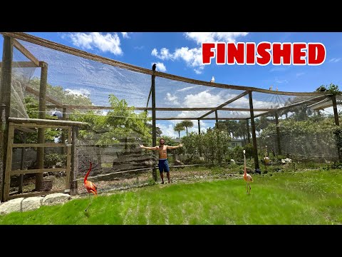 My BIGGEST AVIARY Is COMPLETE!! Today is the day our brand NEW massive aviary is complete! After months of building, planning, and a