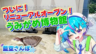 【リニューアルオープン！】日和佐うみがめ博物館行ってきた！#藍空さんぽ【蒼藍アオ / 徳島県ご当地V #アオらじ  】