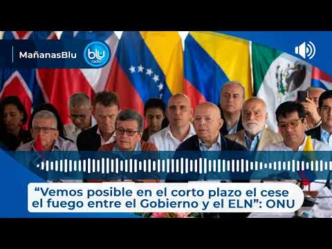 “Vemos posible en el corto plazo el cese el fuego entre el Gobierno y el ELN”: ONU