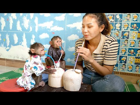 Mimi Kuku enjoying cool coconut with Mom in the heat