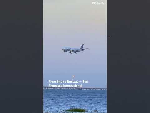 Ocean Landings at SFO ✈️ | A Day of Arrivals #SFO #PlaneSpotting #AviationLovers #AirportVibes #fly