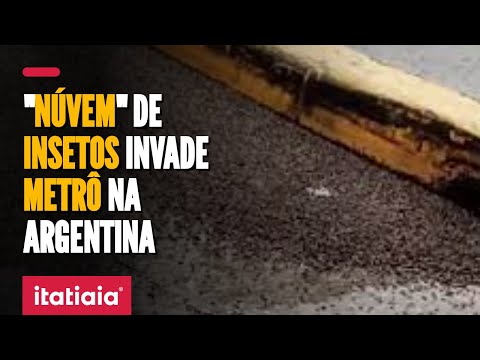 ESTAÇÃO DE METRÔ É FECHADA APÓS INVASÃO DE INSETOS NA ARGENTINA