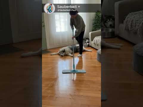 She lost patience for exactly one second 💀