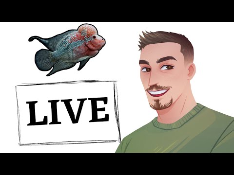 The 5k Sub Live Stream! We are back and ready to create content!