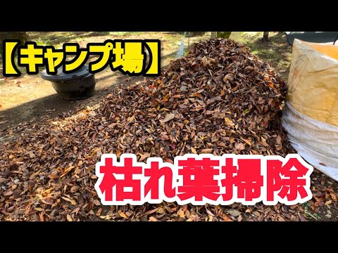 【キャンプ場】枯れ葉掃除