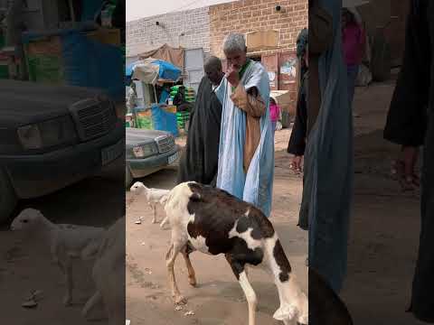 Atar, Mauritania 🇲🇷 #mauritania #mauritanie #nouakchott #atar #🇲🇷