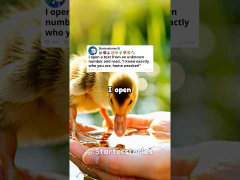 I open a text from an unknown number and read, "I know exactly who you are, home wrecker!"