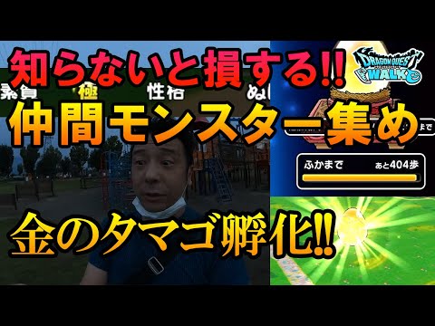 ドラクエウォーク248【なかまモンスターシステムがヤバい！知らないと損する知識！金タマゴを孵化させたらこんなモンスターが出た！！】