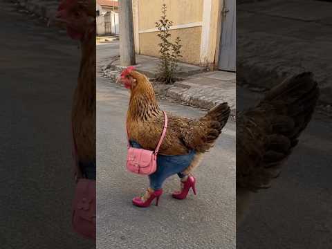 <strong>Where</strong> are you going, little girl? #funny #comedy #funnyvideo