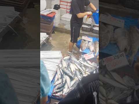 수산물코너도 역시 붐비네요 !!! Korean Seafood house !!! #재래시장 #koreanstreetfood