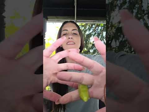 1min REIKI #shorts #reiki #energyhealing #foryou #fyp #spirituality #healing #reikihealing #relaxing