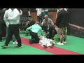 浑元形意太极门马保国首次实战，不到30秒就被KO / Tai Chi Master Ma Baoguo got KOed in less than 30 seconds