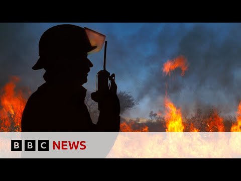 Canada wildfires: Winds push fires away from oil hub after residents flee homes | BBC News