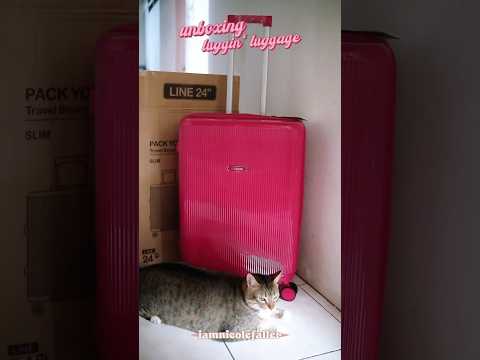 got a new pink luggage 😍💖