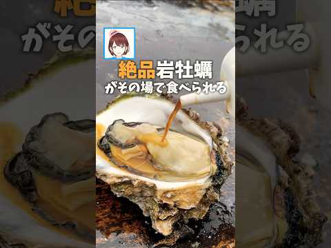 大きな絶品生牡蠣がその場で食べられる！#shorts #vtuber #海鮮 #グルメ #茨城県