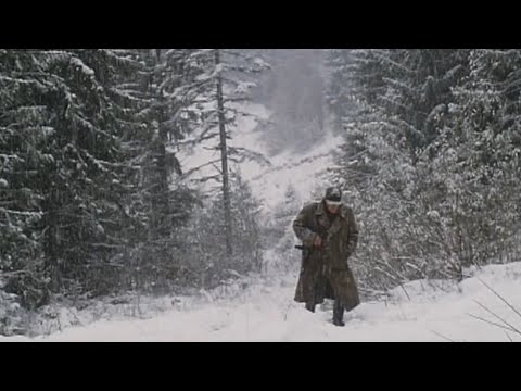 ЗІРВАЛАСЯ ХУРТОВИНА