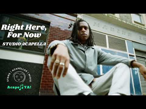 Bakar - Right Here, For Now (Acapella)