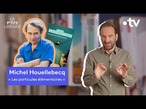 Vidéo de Michel Houellebecq