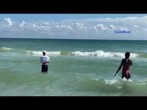 Tiburón en Miami Beach cerca de South Pointe