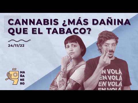 CANNABIS ¿MÁS DAÑINA QUE EL TABACO?  / MAÑANERO