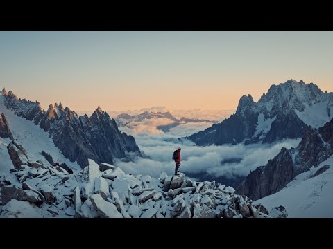 Tell Your Story | Black Forest Collective