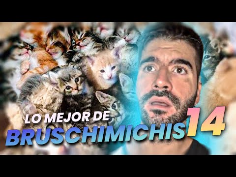 LO MEJOR DE LOS BRUSCHIMICHIS 14 - PABLO BRUSCHI
