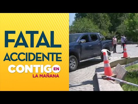 Perro murió electrocutado en Parque Quinta Normal  - Contigo En La Mañana