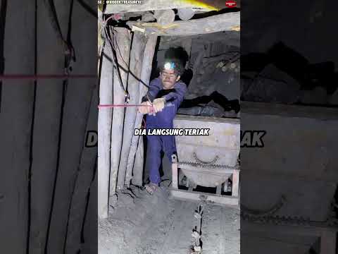 Cowok itu Nggak Nyangka Perburuan Emasnya Berakhir Jadi Kesalahan Mengerikan