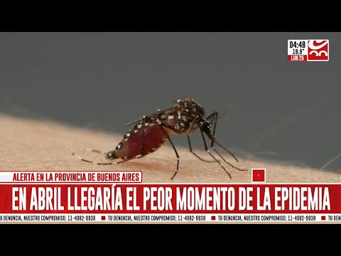 Alerta dengue: el abril llegaría el peor momento de la epidemia
